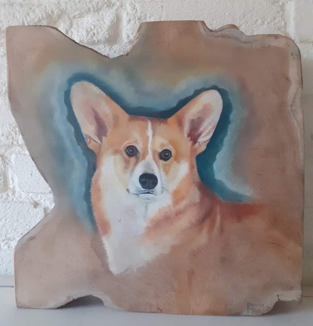 Dierportret corgi