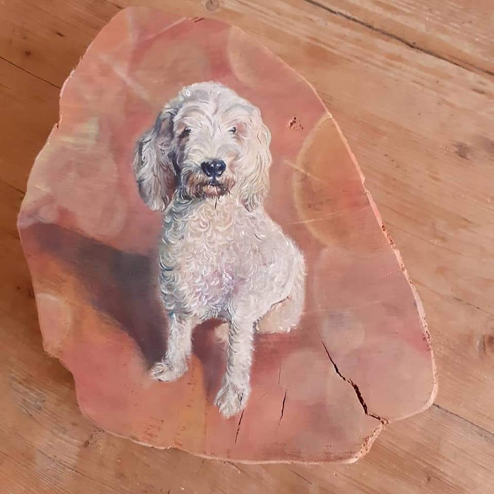 Dierportret Labradoedel