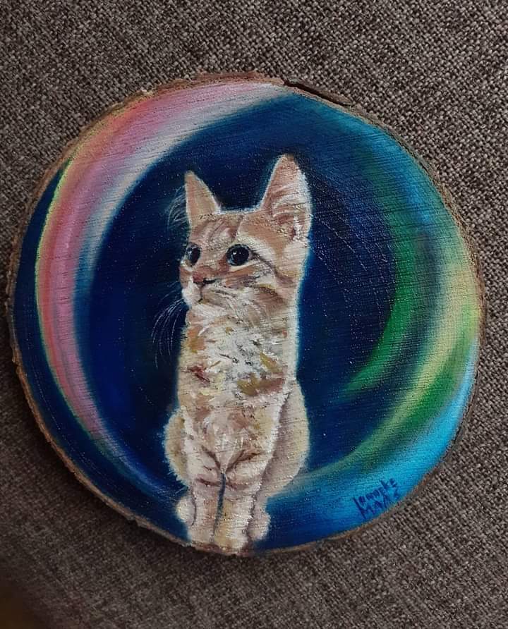 Dierportret kat